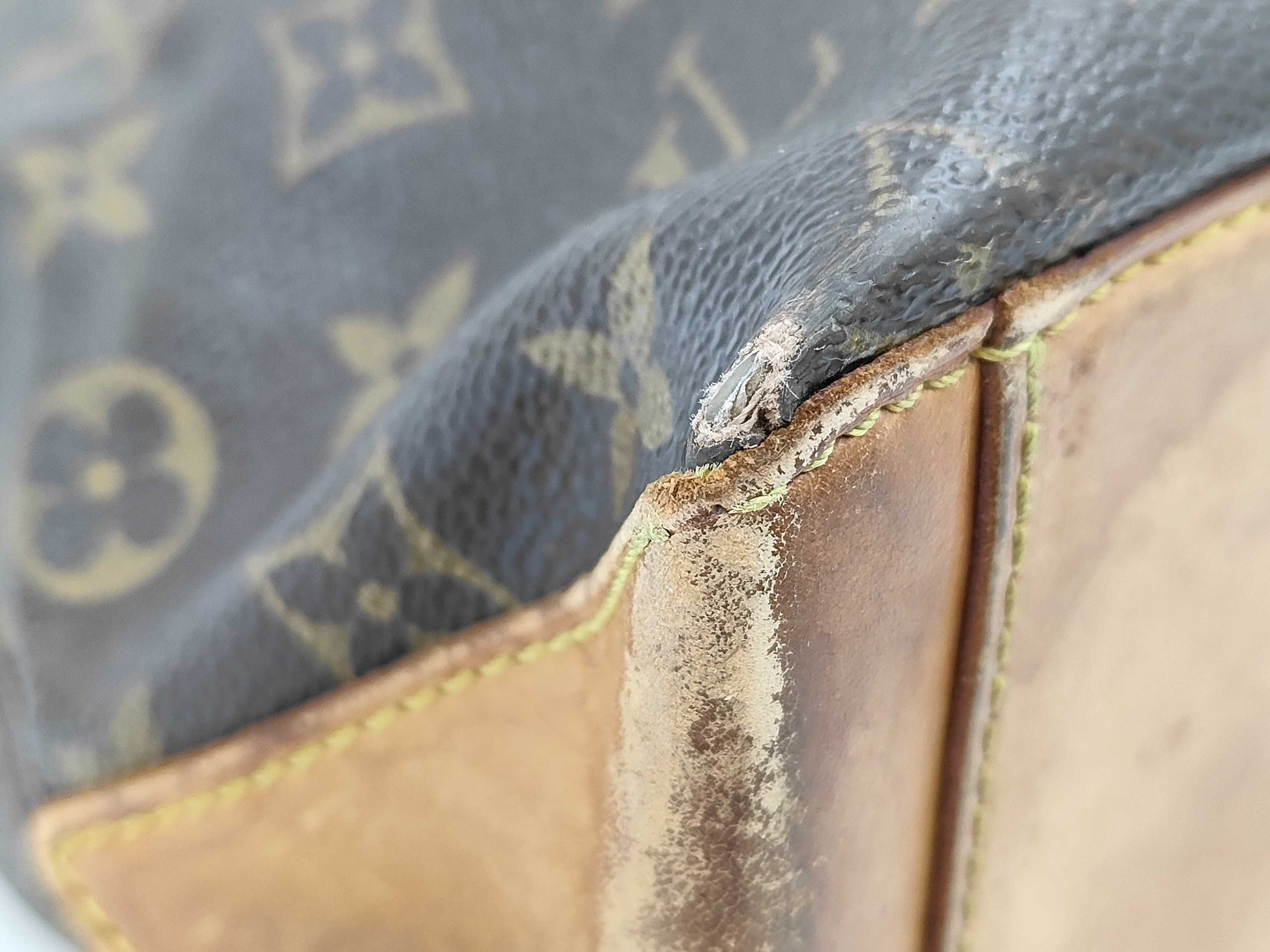 LOUIS VUITTON Louis Vuitton Caba Maison handbag