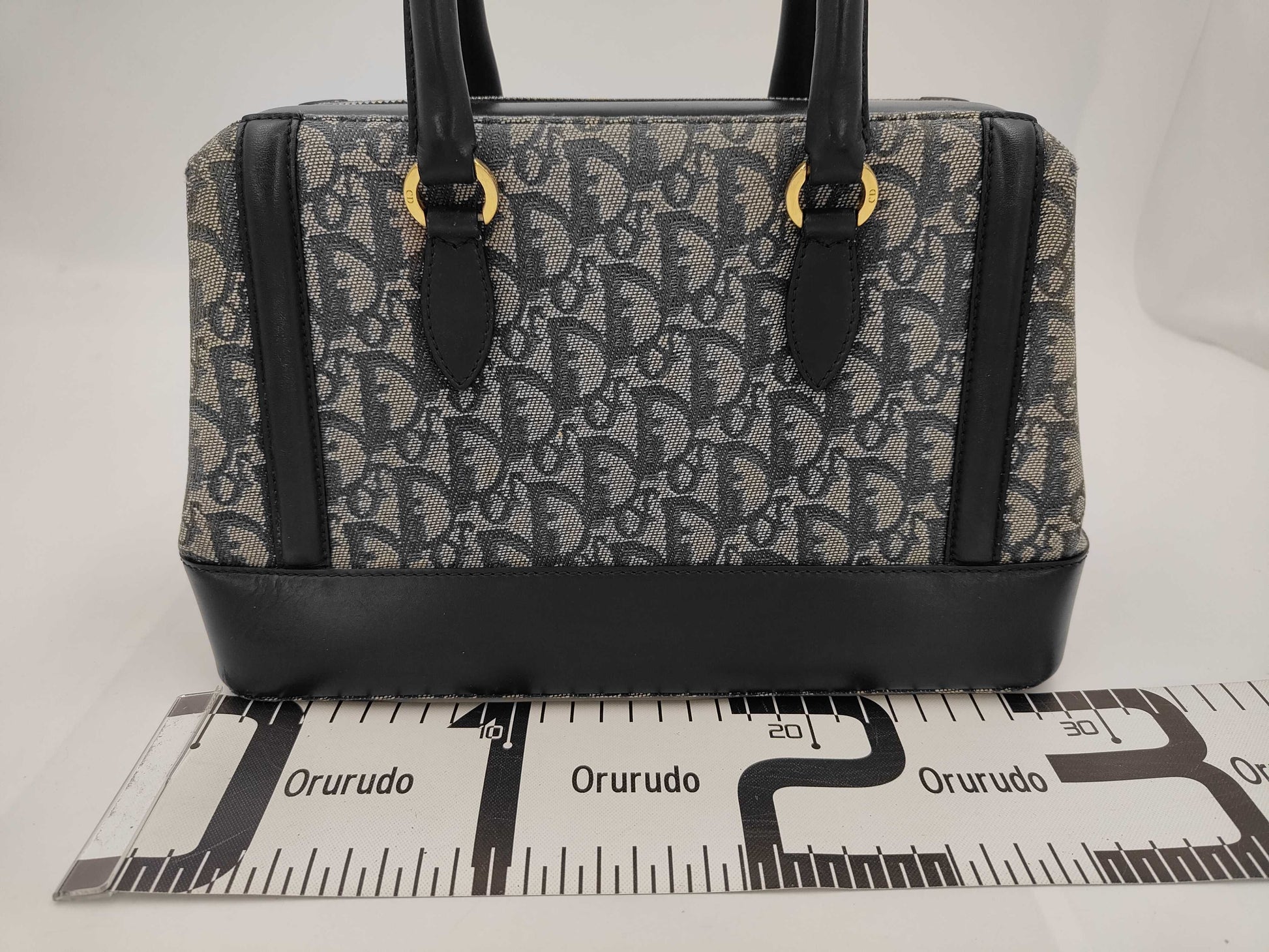 Dior Trotter handbag