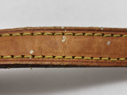 LOUIS VUITTON Monogram Bag Louis Vuitton Monogram Trotter Shoulder Bag PVC Brown Shoulder Bag