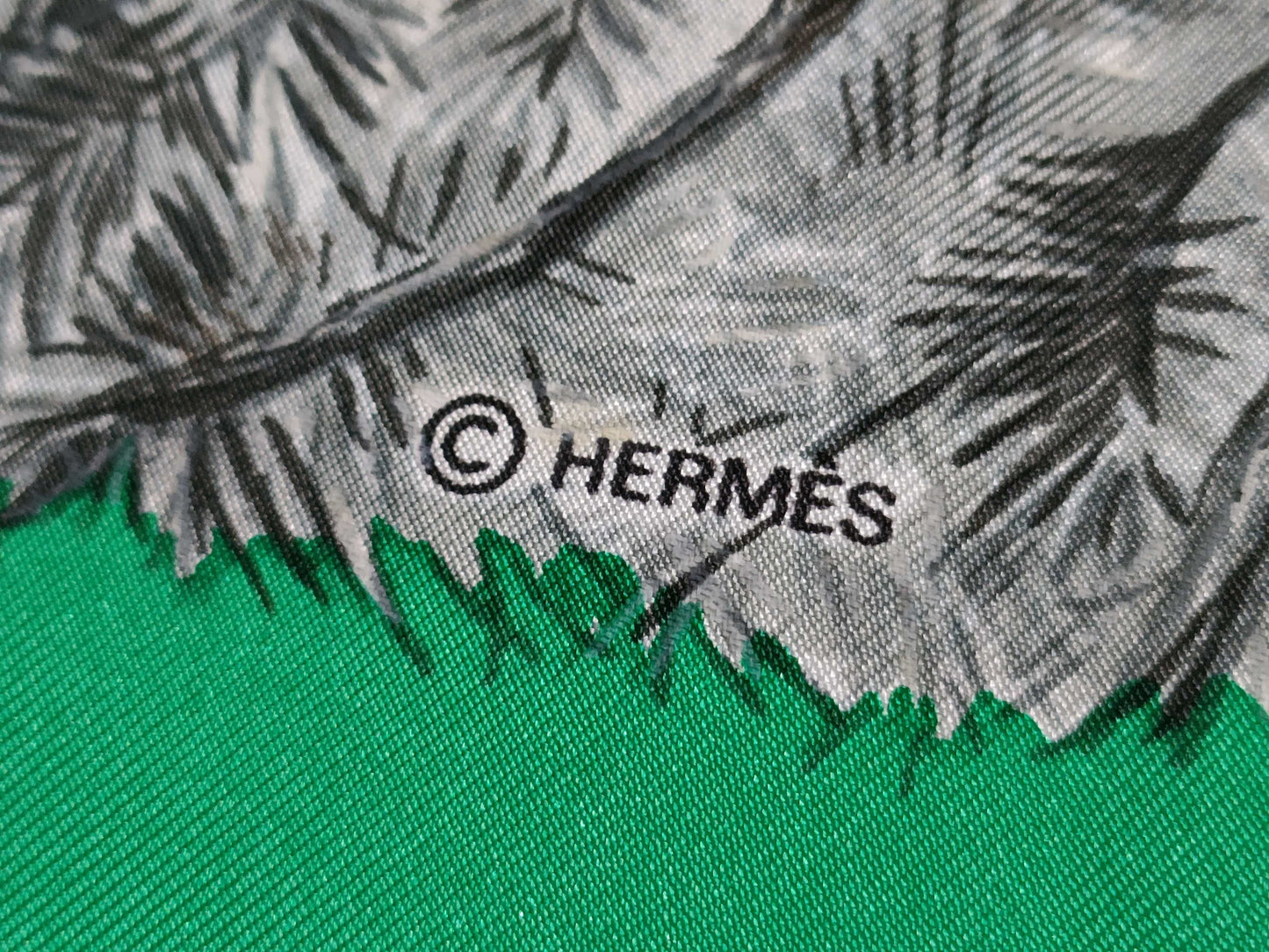 HERMES Carre Hermes Carre Scarf