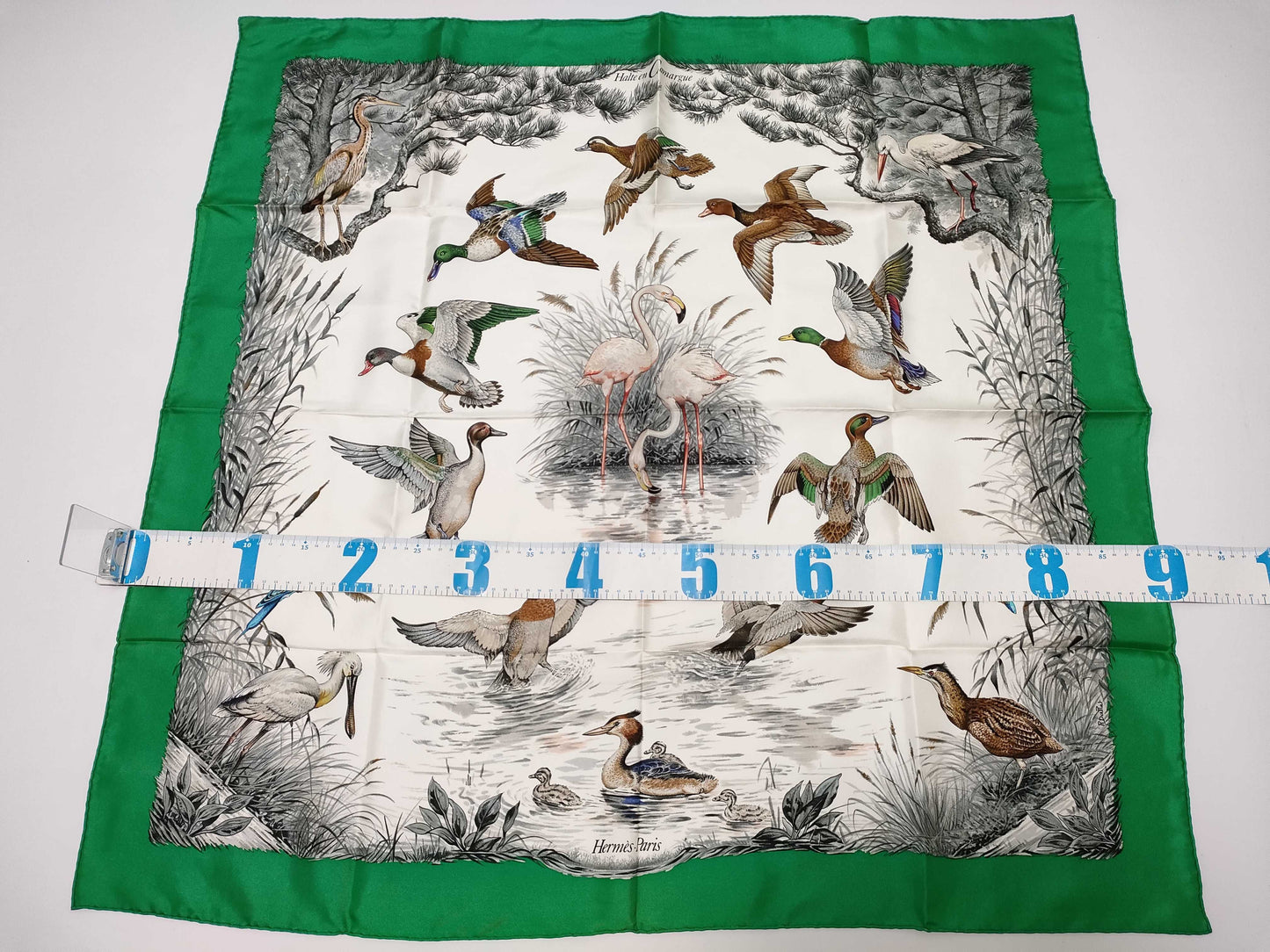 HERMES Carre Hermes Carre Scarf