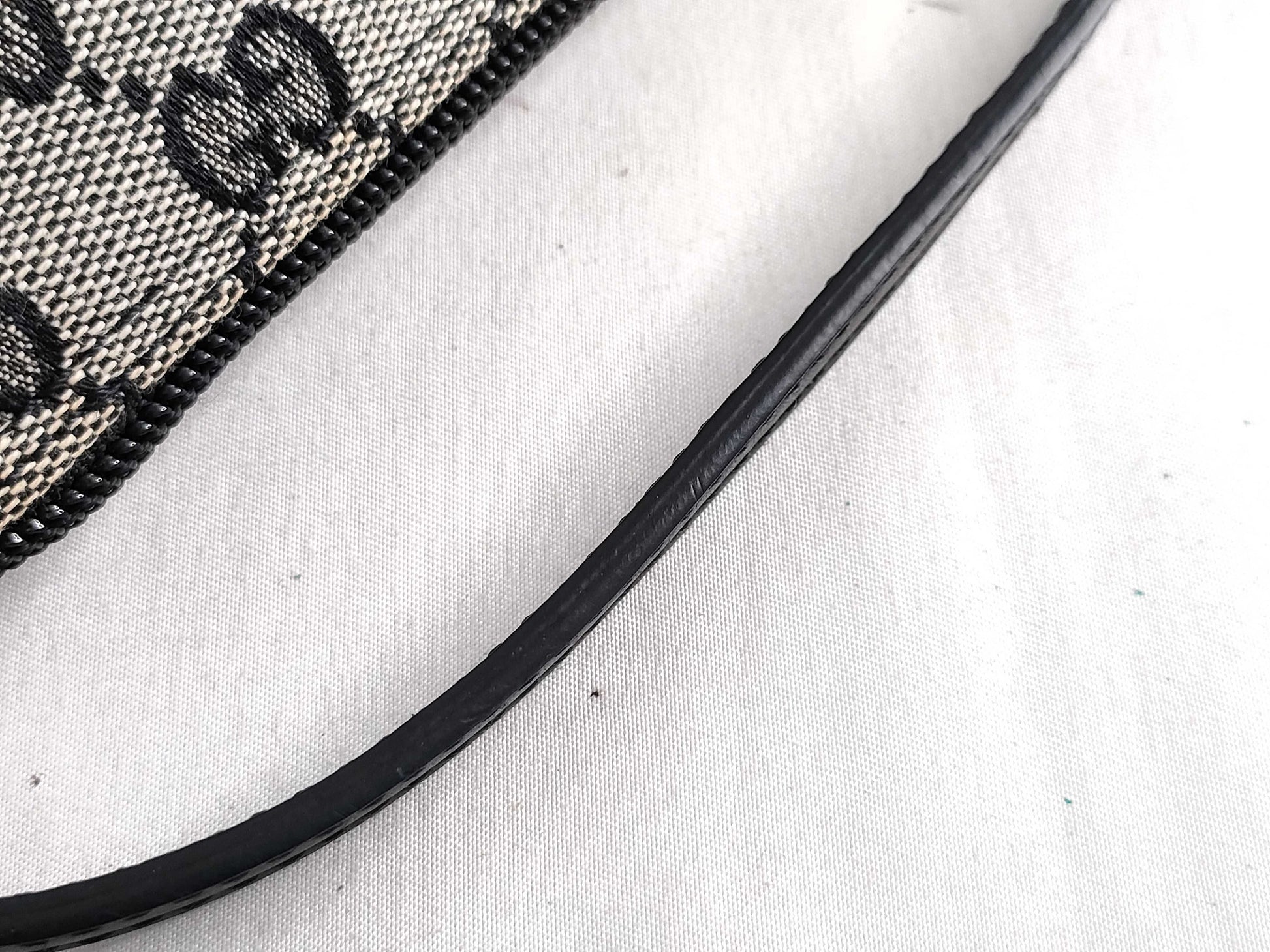 GUCCI GG Canvas GUCCI Accessory Pouch Handbag