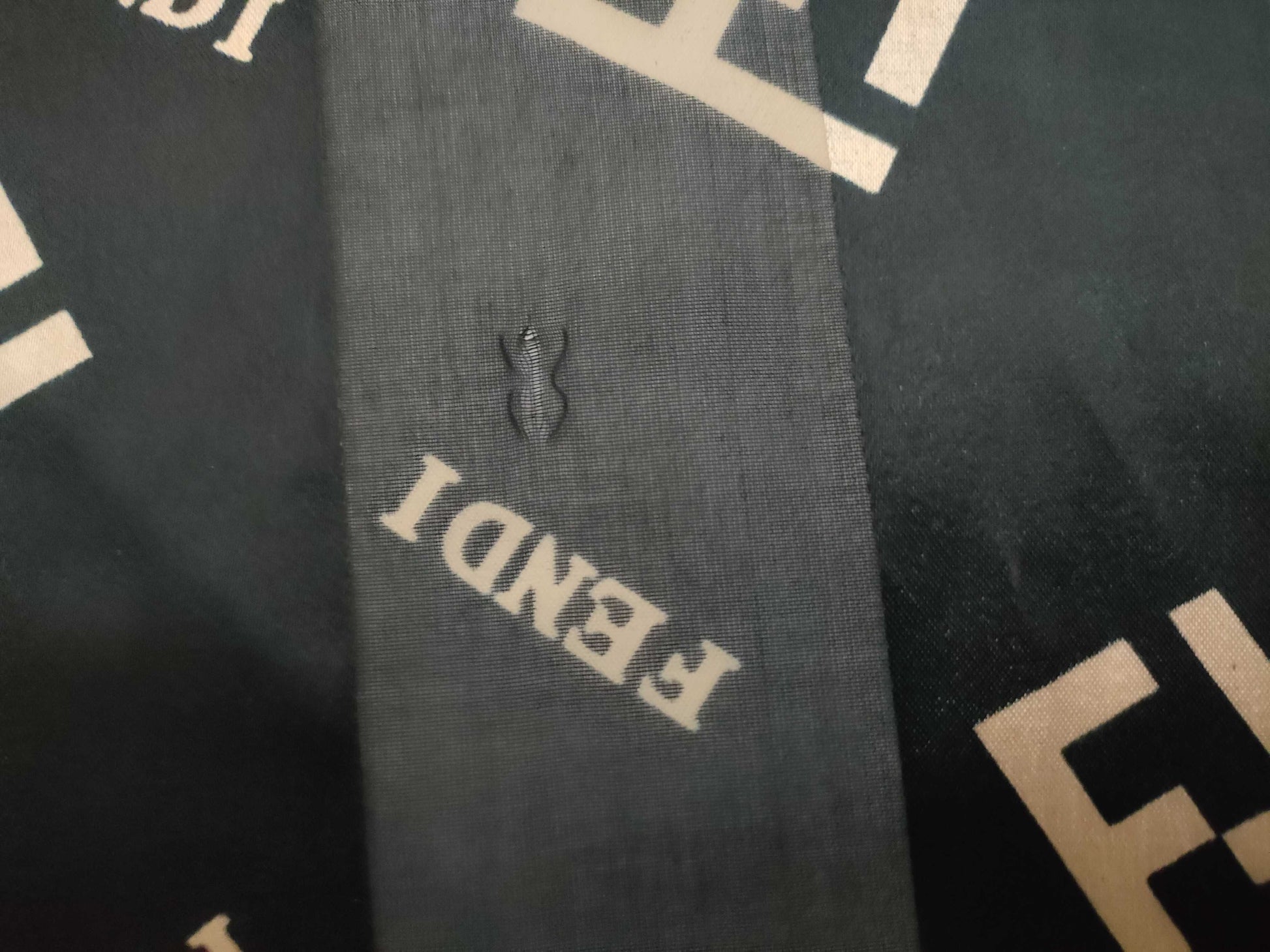 FENDI Fendi Scarf Other Accessories