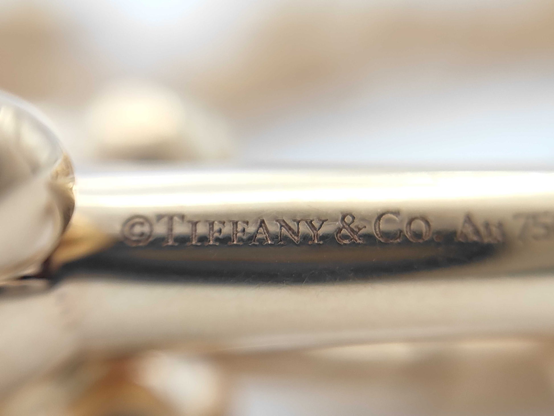 Tiffany & Co. Hardware Large Link PG 750 33.7g Bracelet/Bangle 