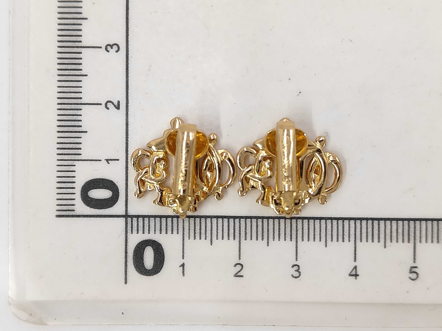 Dior Logo Earrings