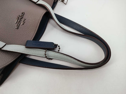 COACH Coach bag handbag