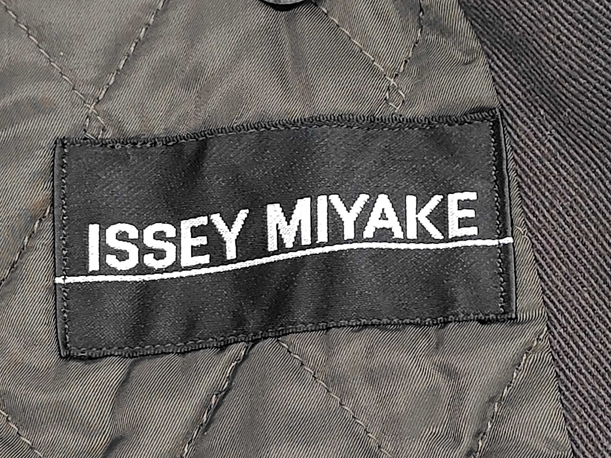 ISSEY MIYAKE Coat Coat