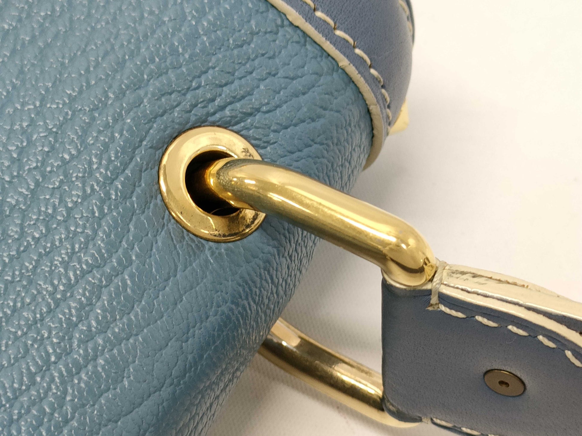 LOUIS VUITTON Suhali Tarantu handbag