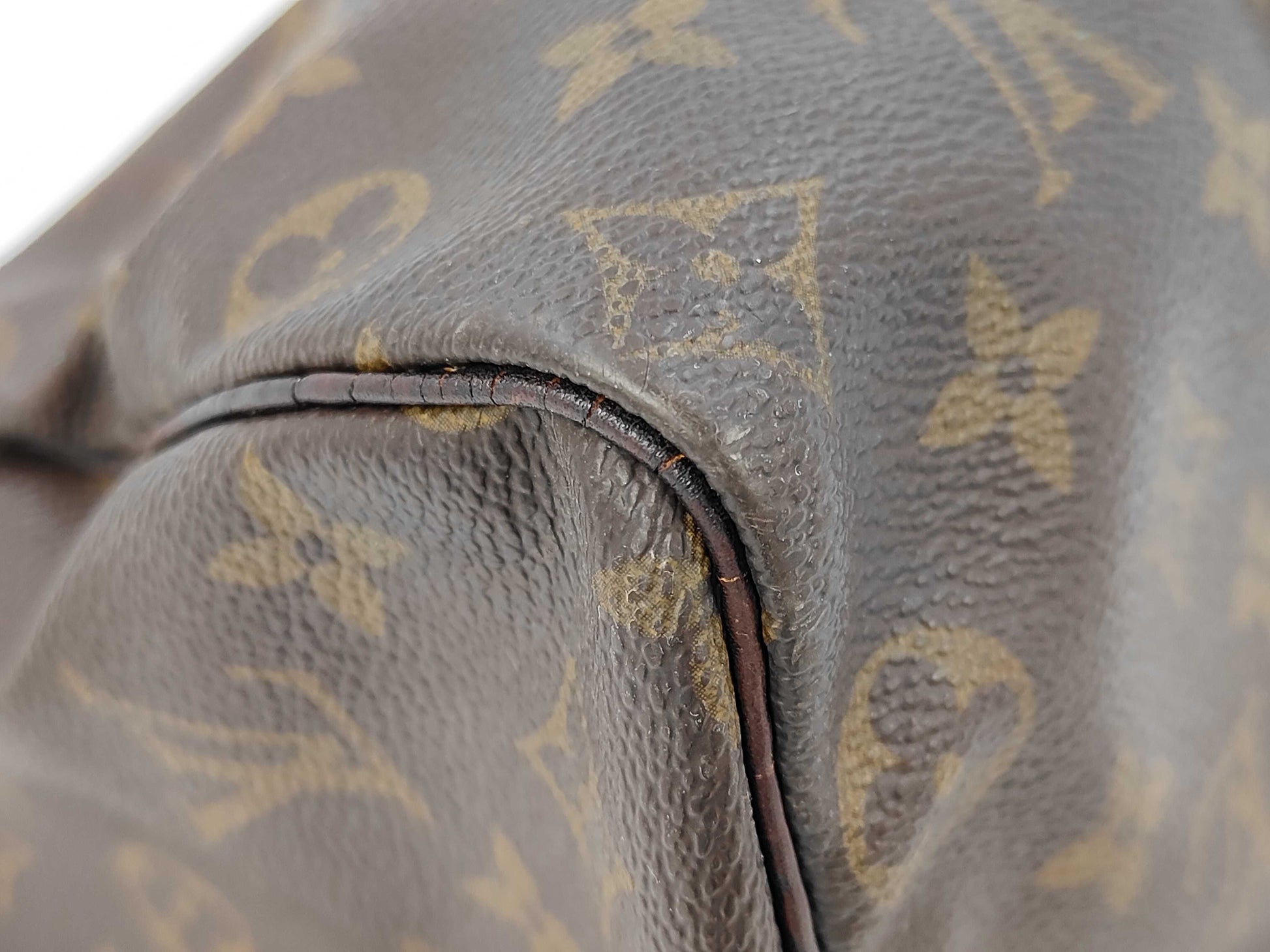 LOUIS VUITTON Monogram Speedy 25 Handbag
