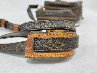 LOUIS VUITTON Monogram Mini Amazon Shoulder Bag