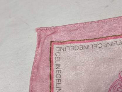 CELINE CELINE Scarves Other Apparel