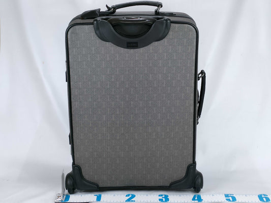 LOEWE suitcase carry bag