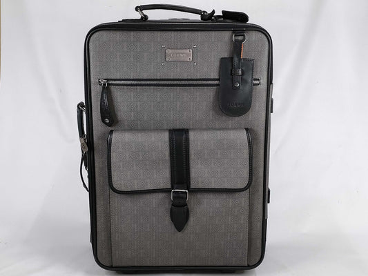 LOEWE suitcase carry bag