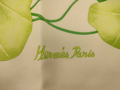 HERMES Carre HERMES Hermes Carre 90 Scarf Scarf
