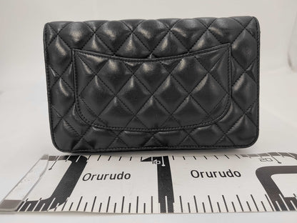 CHANEL CHANEL Chain Wallet No. 30 Shoulder Bag