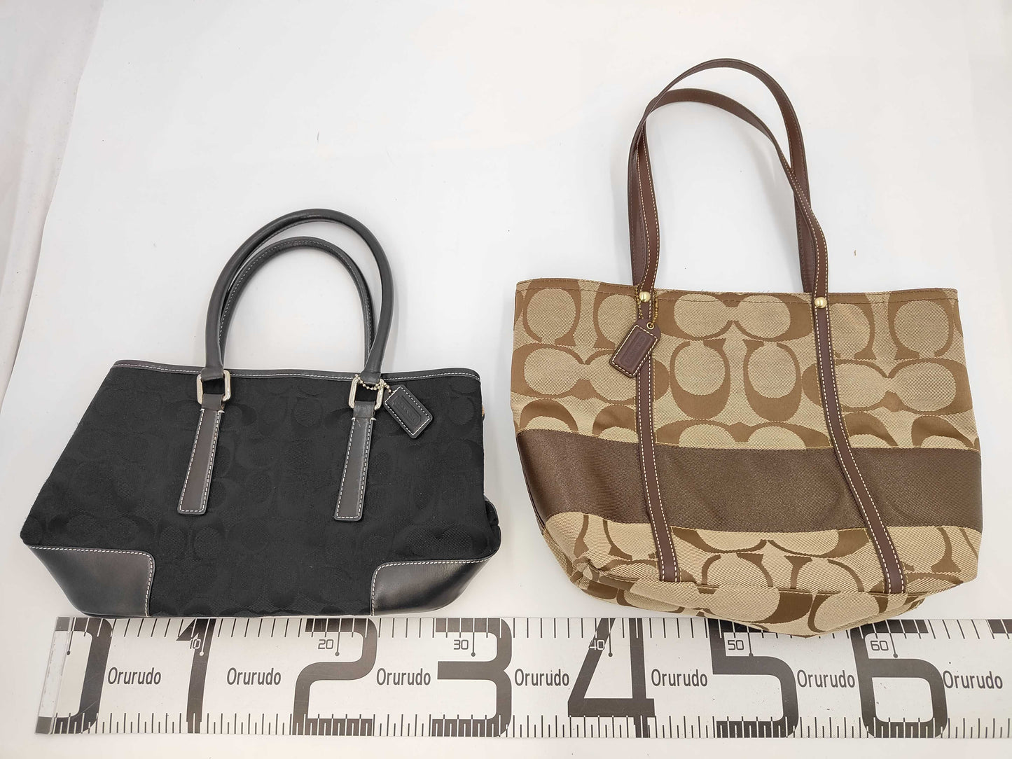 COACH 2-piece bag set