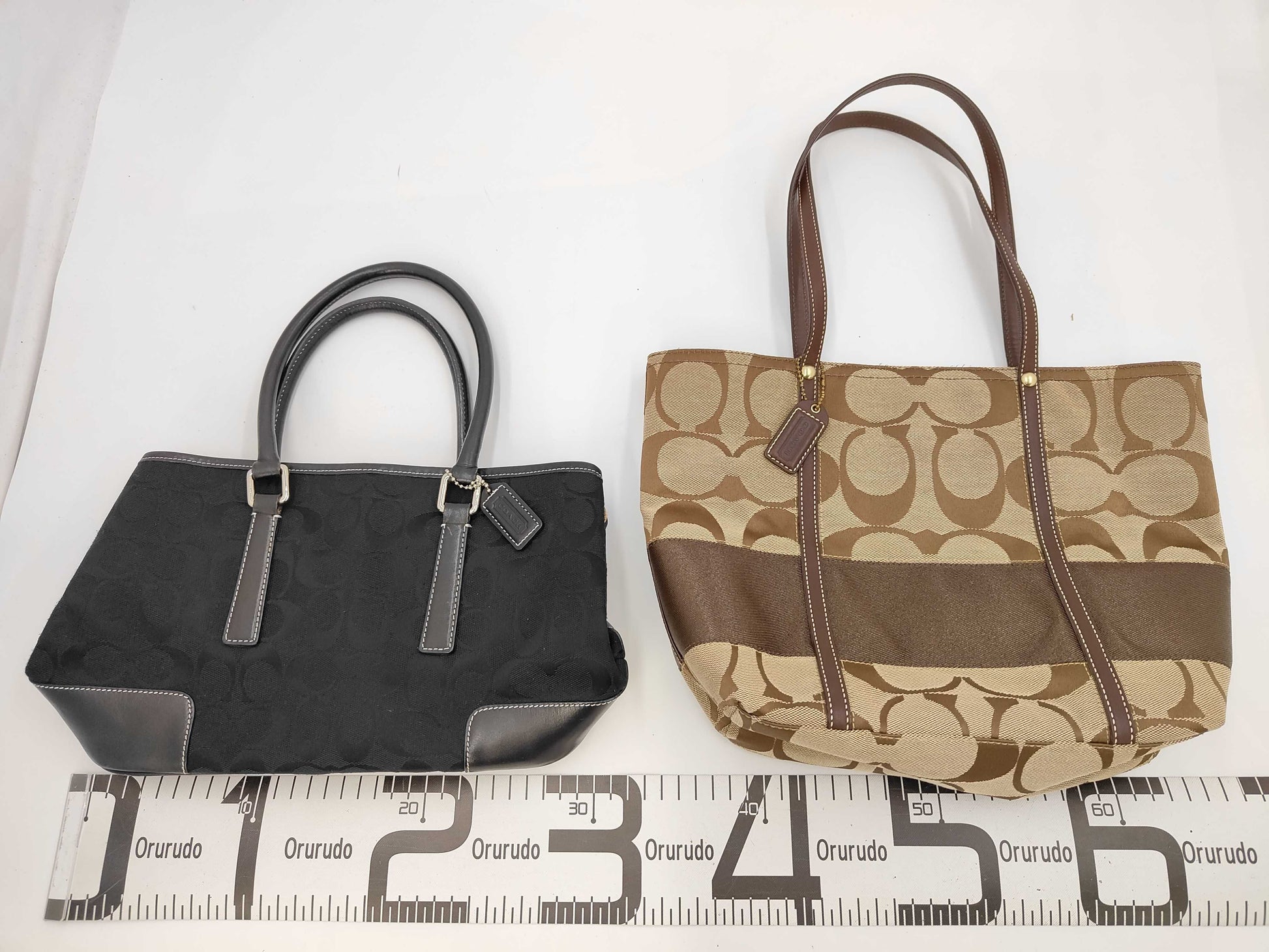 COACH 2-piece bag set