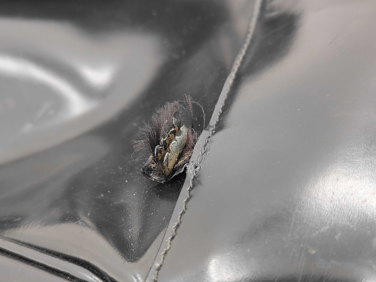 GUCCI GUCCI Gucci Interlocking G Shoulder Bag Backpack 4-Piece Set