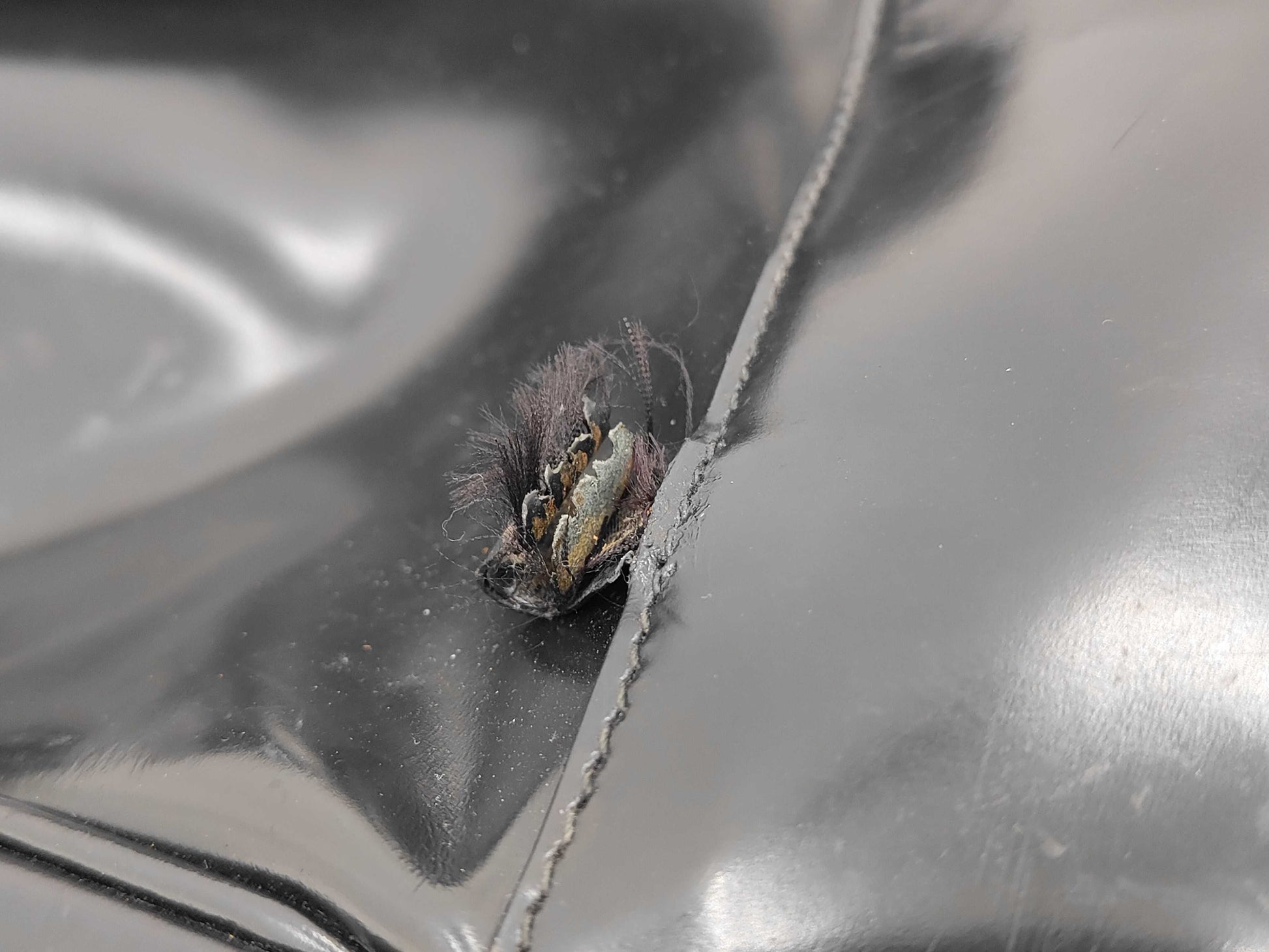 GUCCI GUCCI Gucci Interlocking G Shoulder Bag Backpack 4-Piece Set