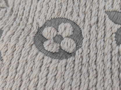 LOUIS VUITTON Echarpe Logomania Scarf