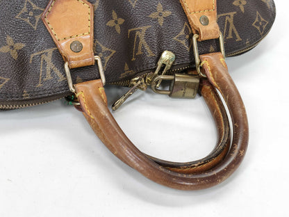 LOUIS VUITTON Monogram LV Handbag