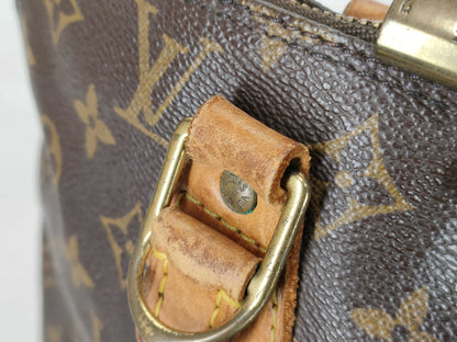 LOUIS VUITTON Monogram LV Handbag