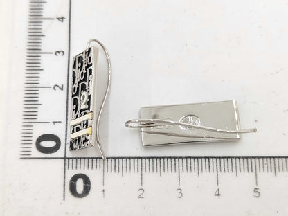 Dior Christian Dior Trotter Black Earrings