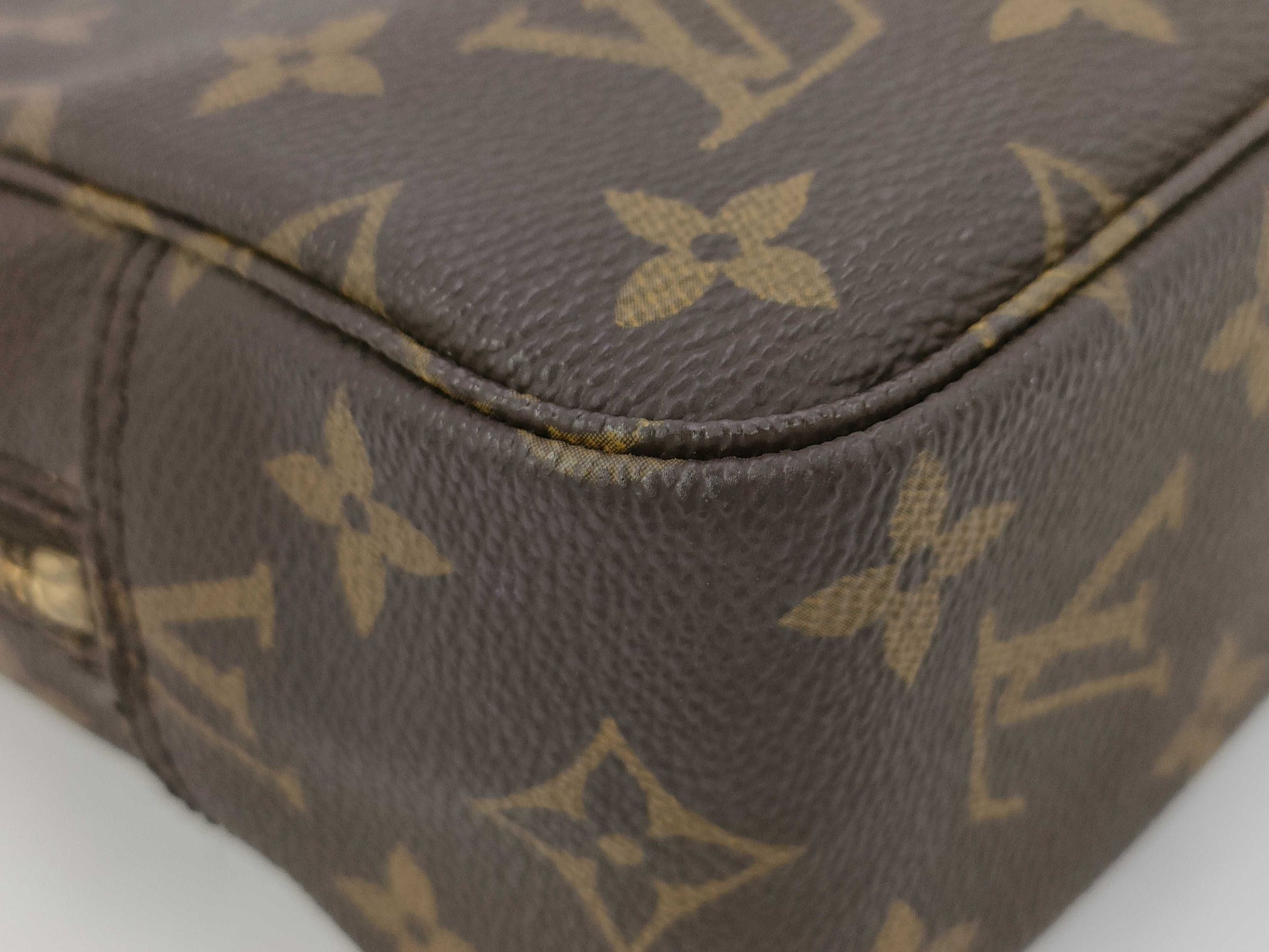 LOUIS VUITTON Monogram True Toilet 23 Pouch