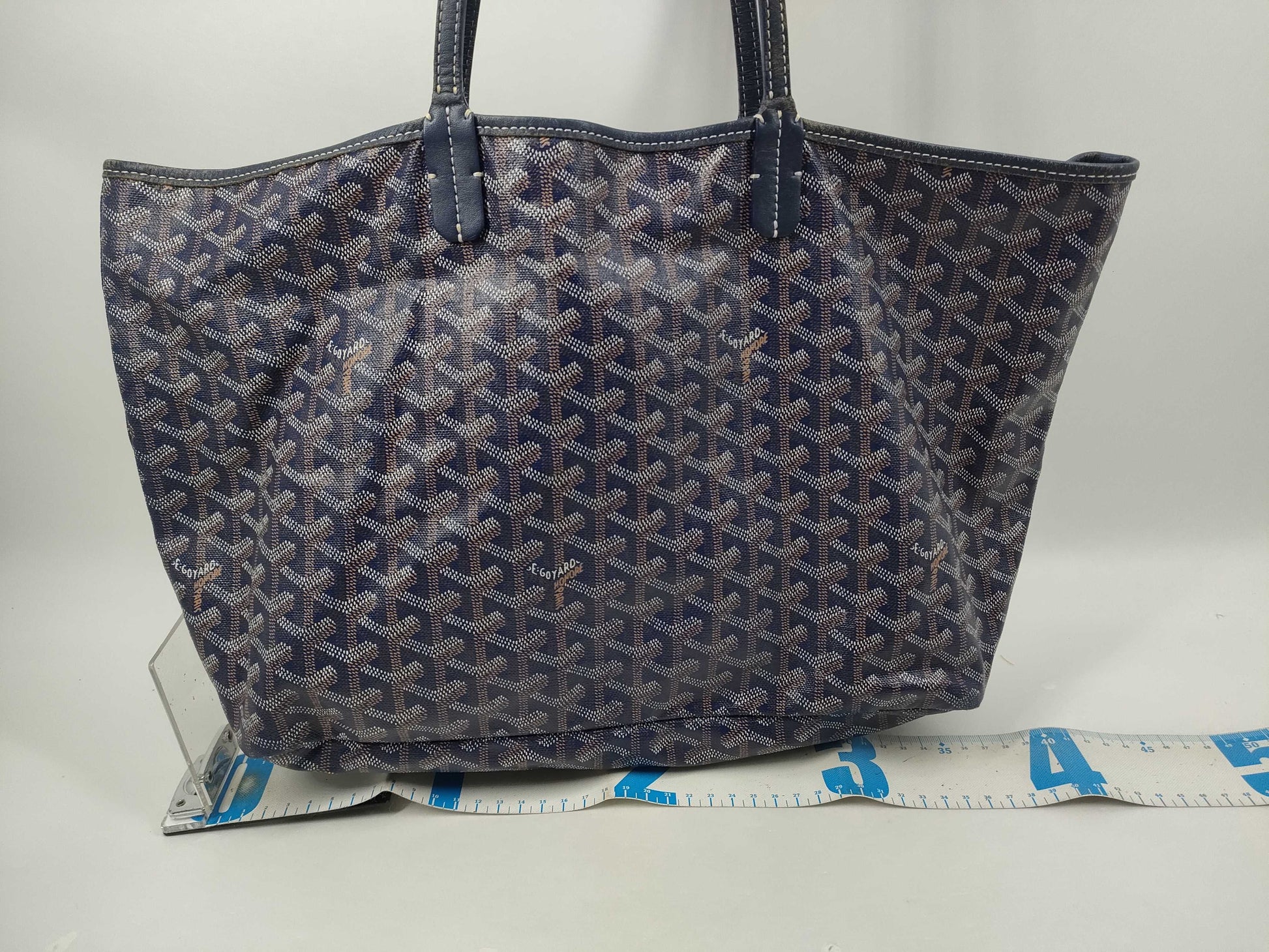 GOYARD PM Tote Bag with Pouch