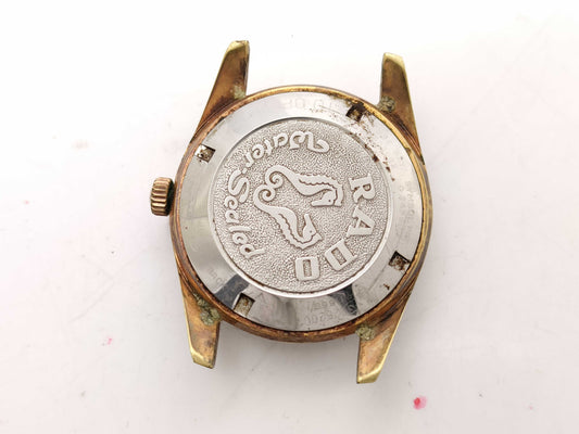 RADO Green Horse/Water Shield/Face Only Boys' Watch