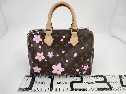LOUIS VUITTON Speedy 25 Handbag M14174