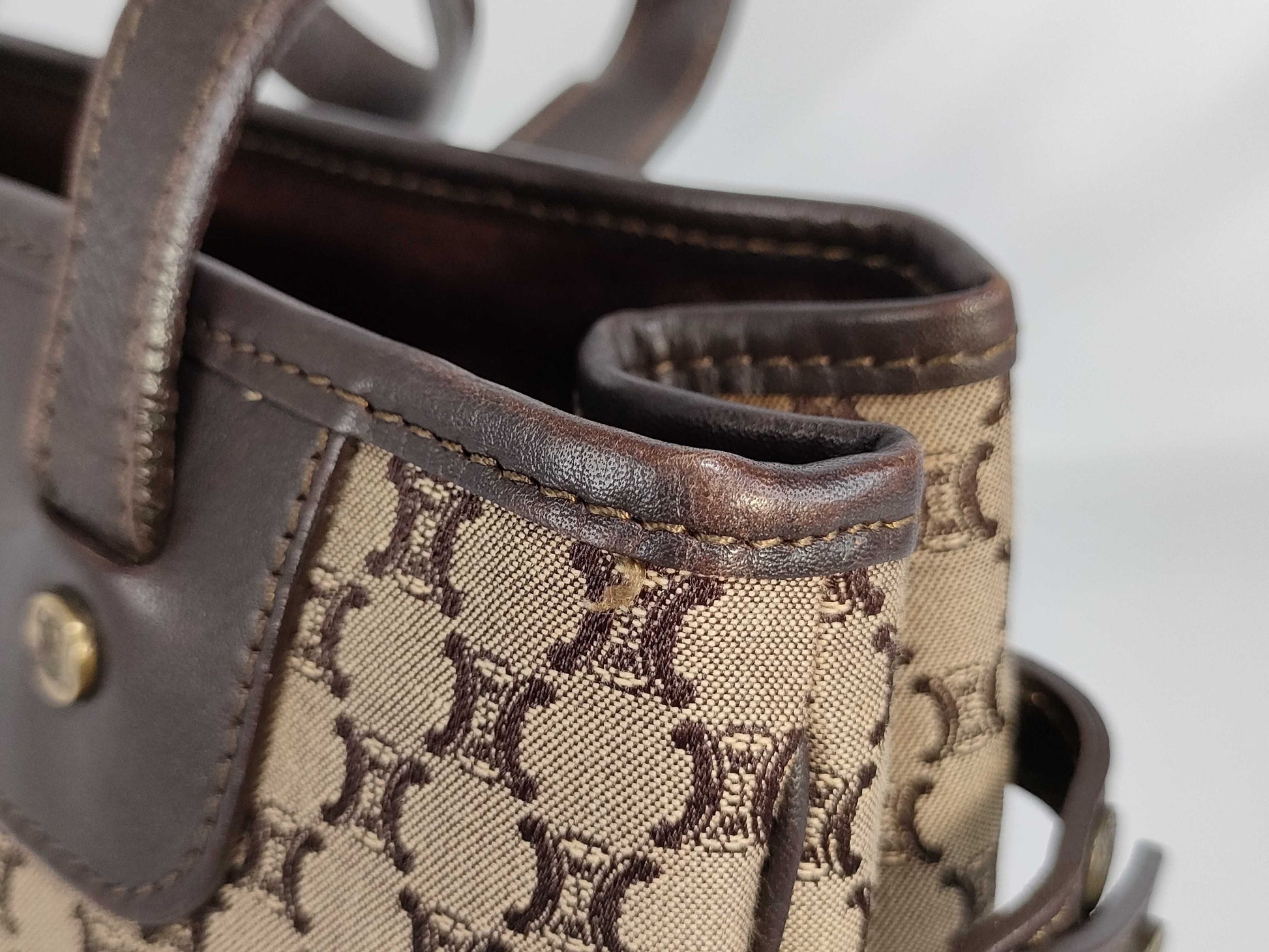 CELINE Canvas Tote Bag