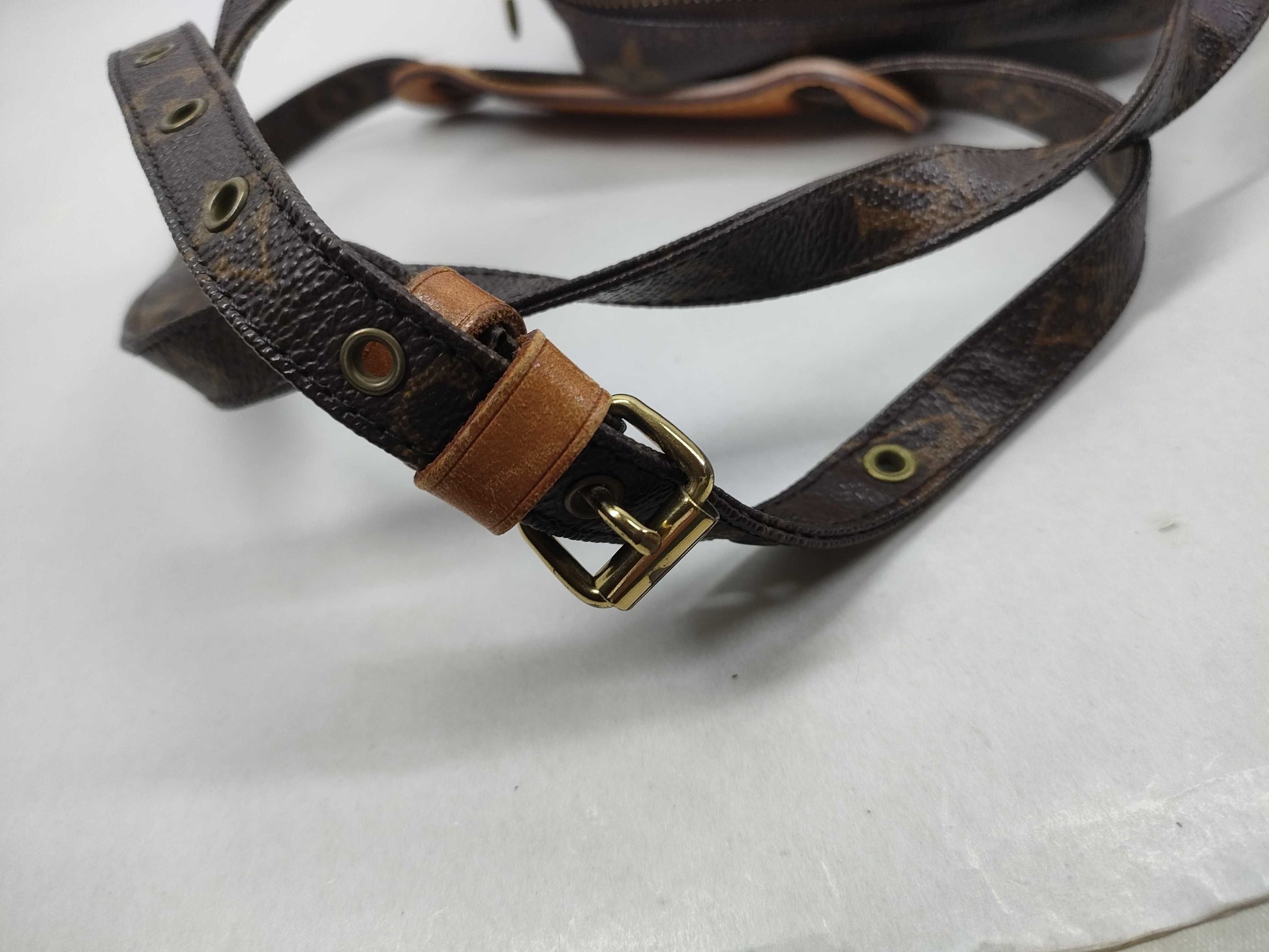 LOUIS VUITTON M45236 Monogram Amazon Shoulder Bag