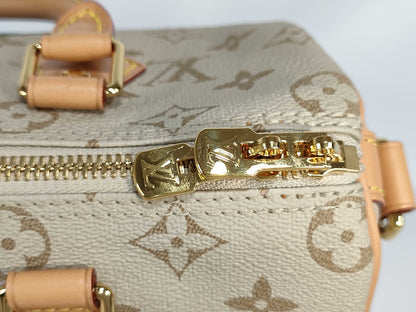 LOUIS VUITTON [Model Number] M46749 Monogram Monopanam Street Speedy Bandouliere 25 Boston Bag