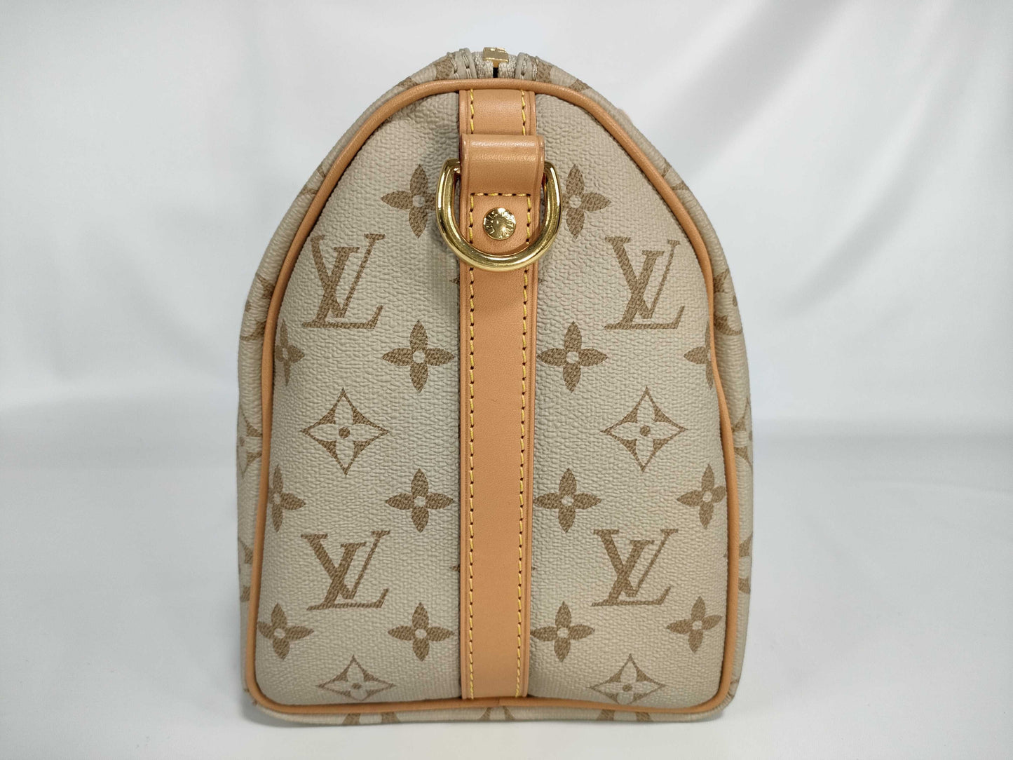 LOUIS VUITTON [Model Number] M46749 Monogram Monopanam Street Speedy Bandouliere 25 Boston Bag