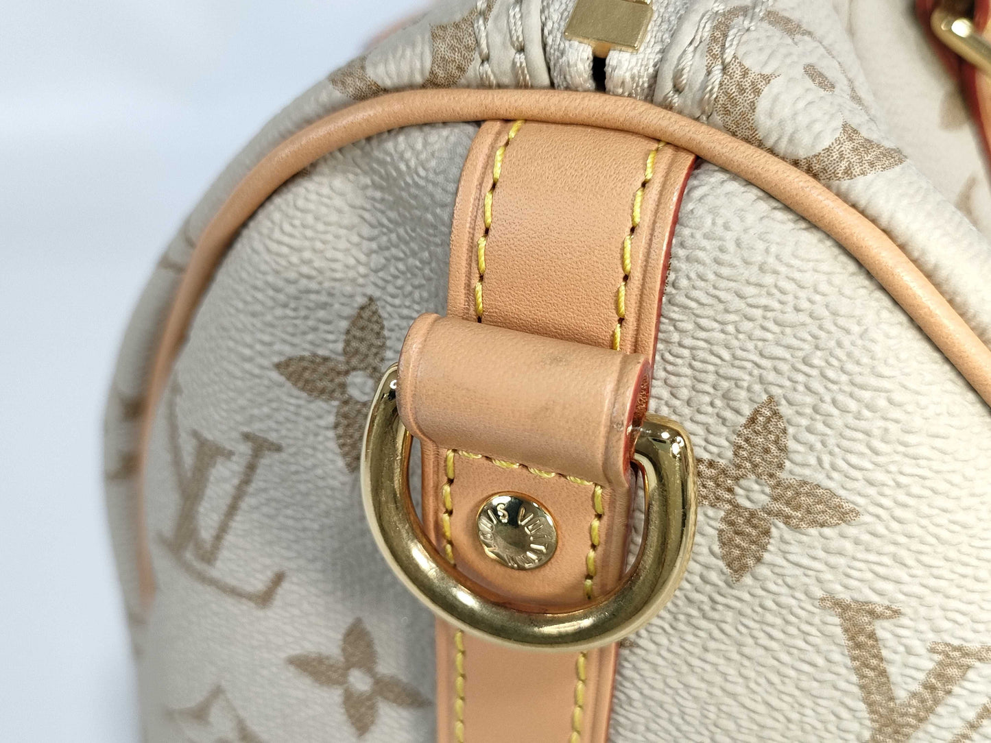 LOUIS VUITTON [Model Number] M46749 Monogram Monopanam Street Speedy Bandouliere 25 Boston Bag