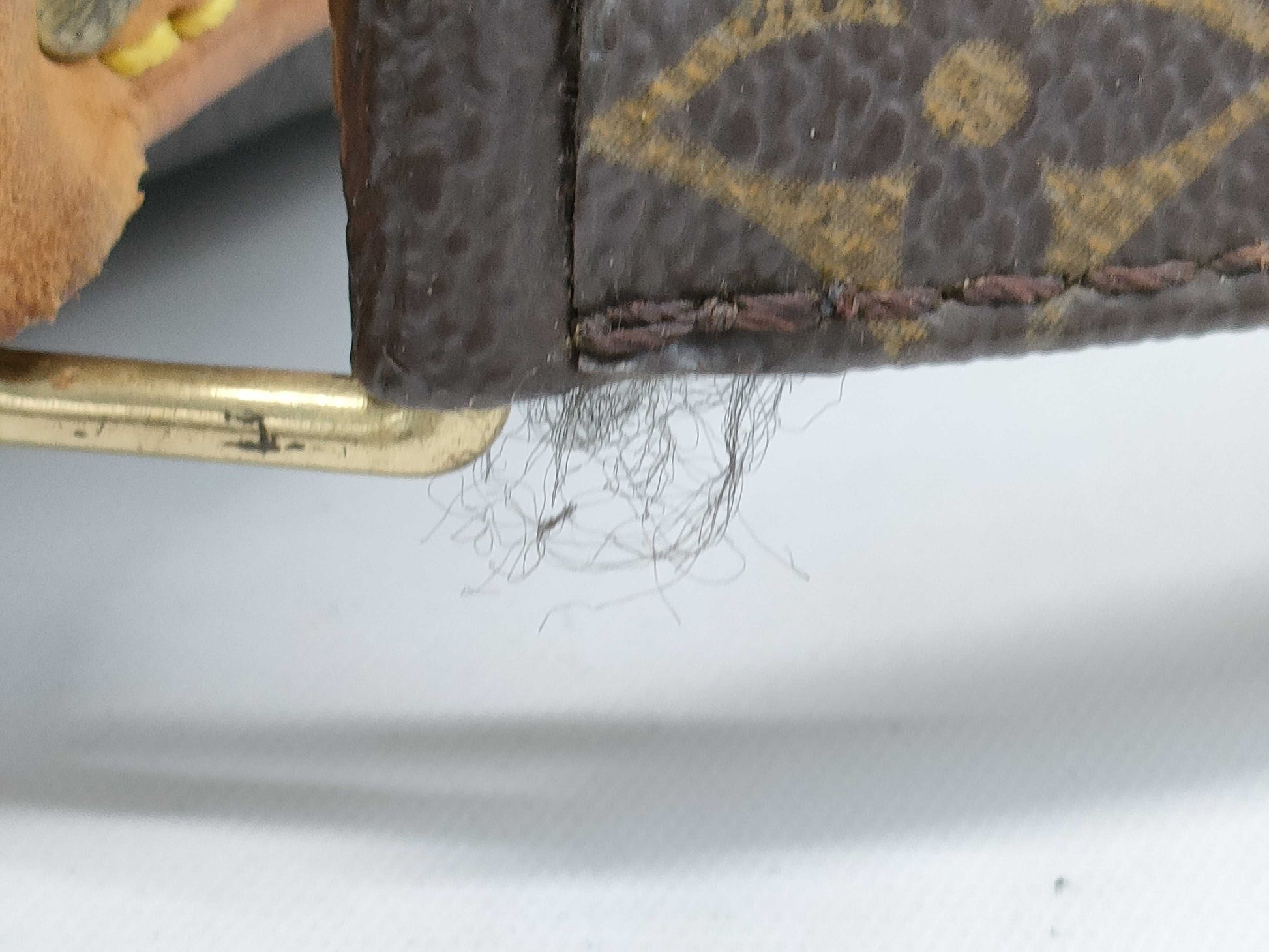 LOUIS VUITTON Monogram M45236 Amazon Shoulder Bag