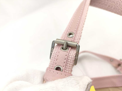 Dior Trotter Handbag Handbag