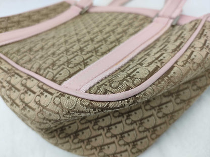 Dior Trotter Handbag Handbag