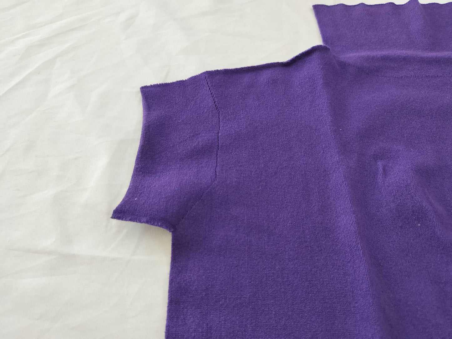ISSEY MIYAKE Women's Tops Purple Turtleneck T-Shirt