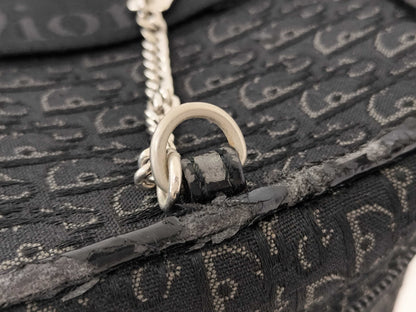 Dior Trotter Vanity Pouch