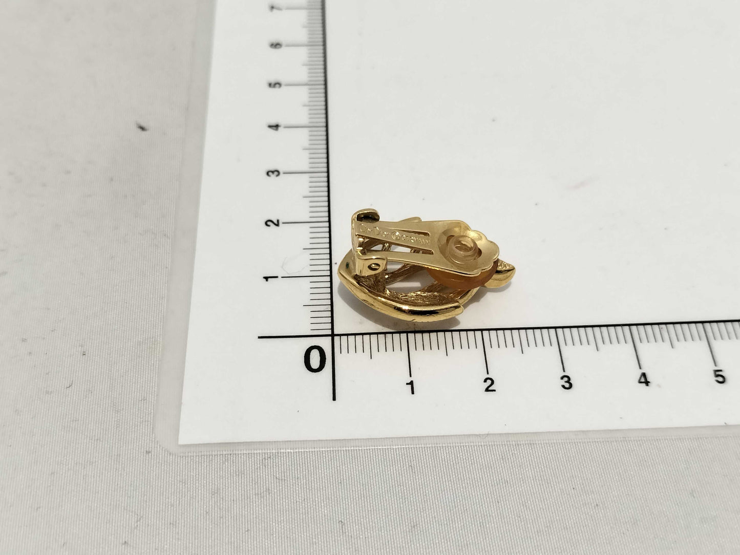Dior Leaf Earrings