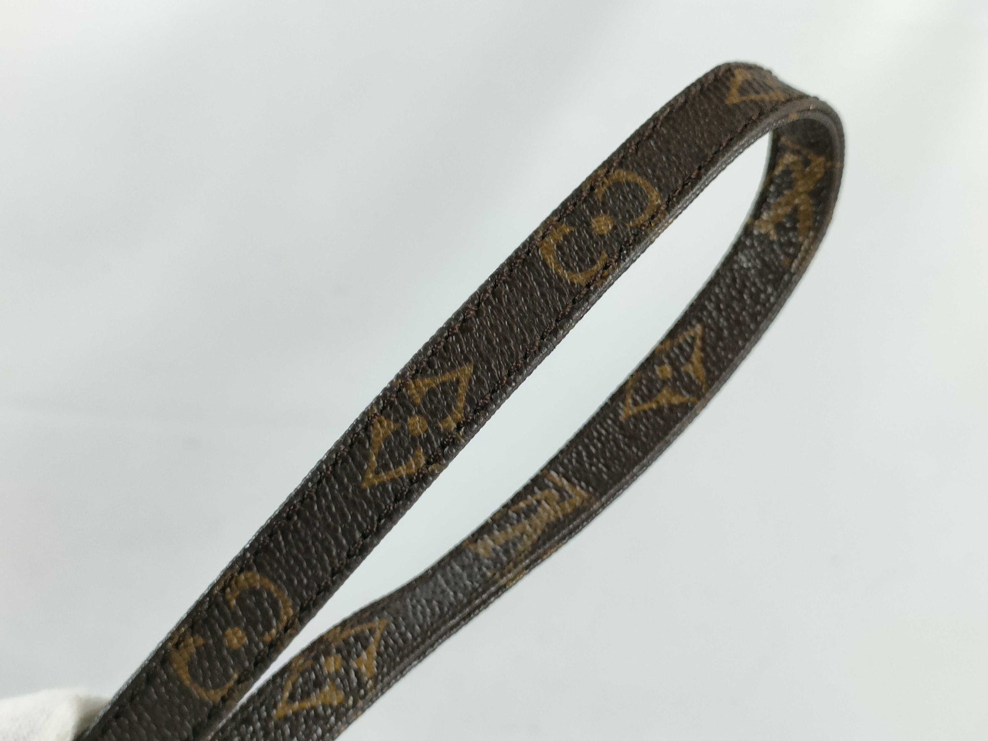 LOUIS VUITTON Monogram M45238 Mini Amazon Shoulder Bag