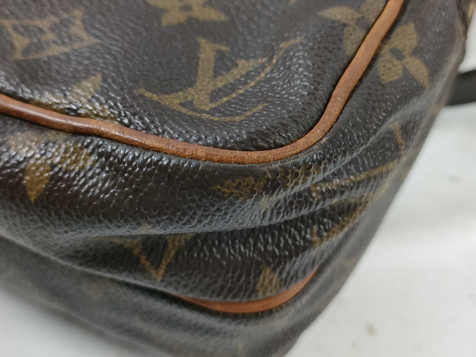 LOUIS VUITTON Monogram M45238 Mini Amazon Shoulder Bag