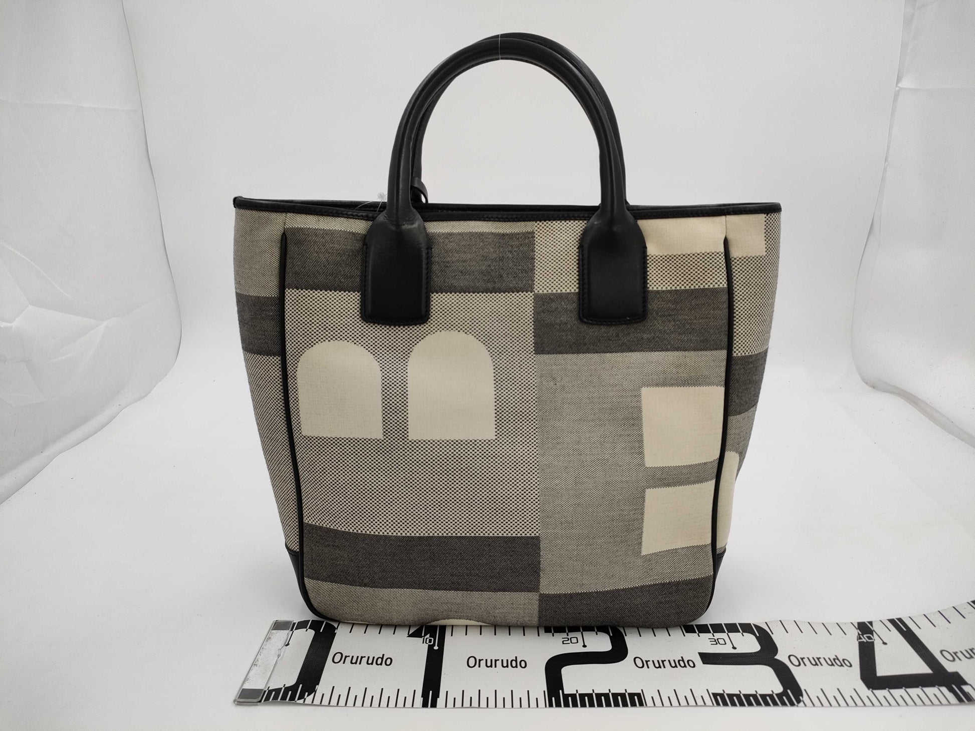 BALLY BALLY/Canvas/Hand Suitcase