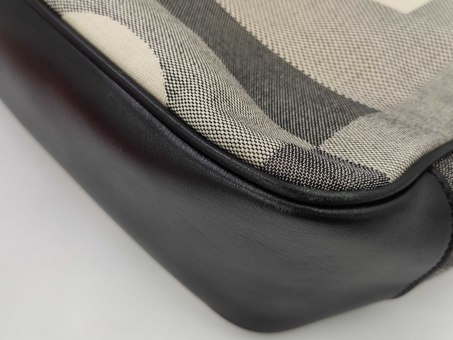 BALLY BALLY/Canvas/Hand Suitcase