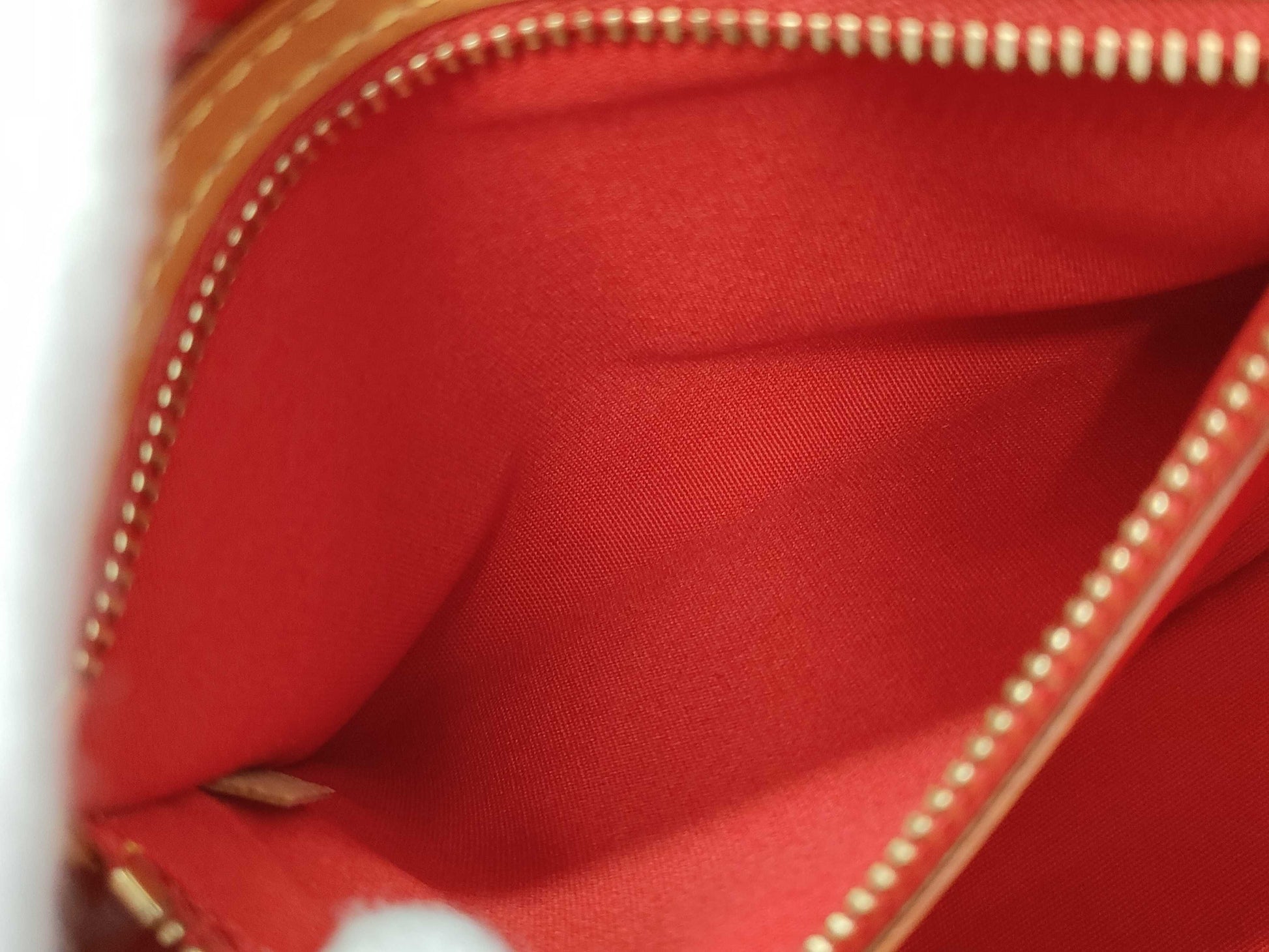 LOUIS VUITTON Vernis Lead PM Tote Bag