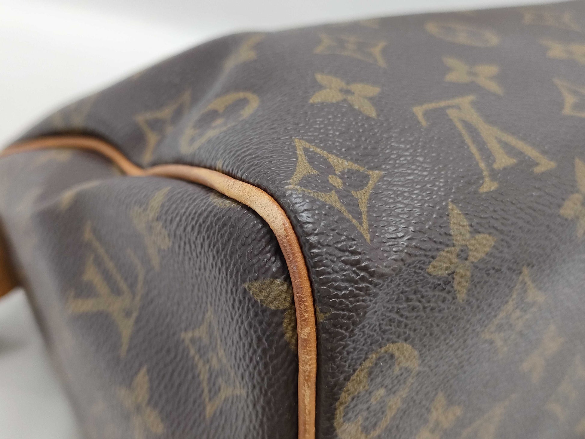 LOUIS VUITTON Monogram Speedy Handbag