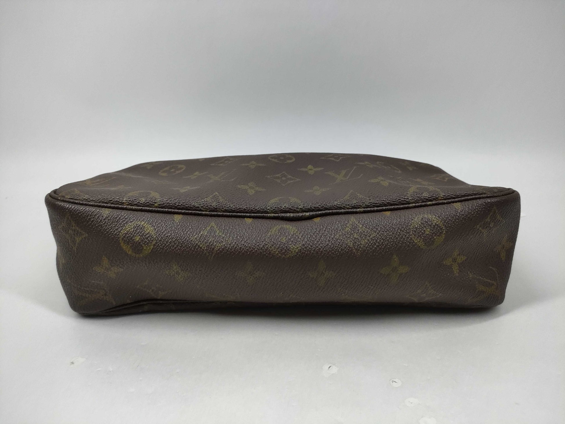 LOUIS VUITTON Monogram Truest Wallet Pouch