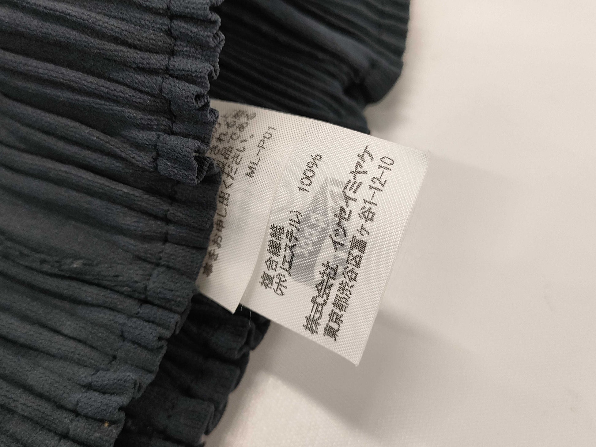 ISSEY MIYAKE Inside Pants Pants